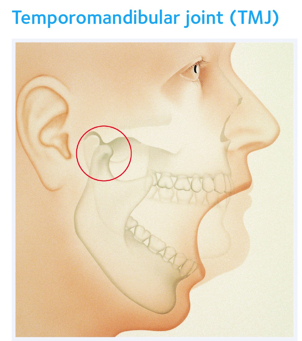 mouth open showing joint