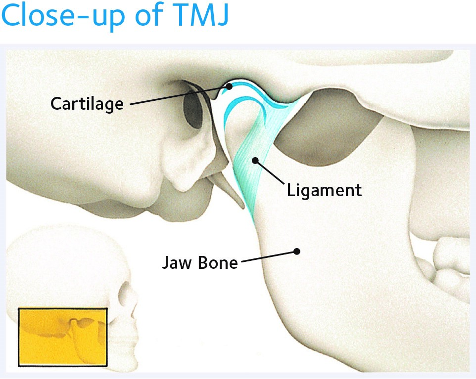 close-up of TMJ